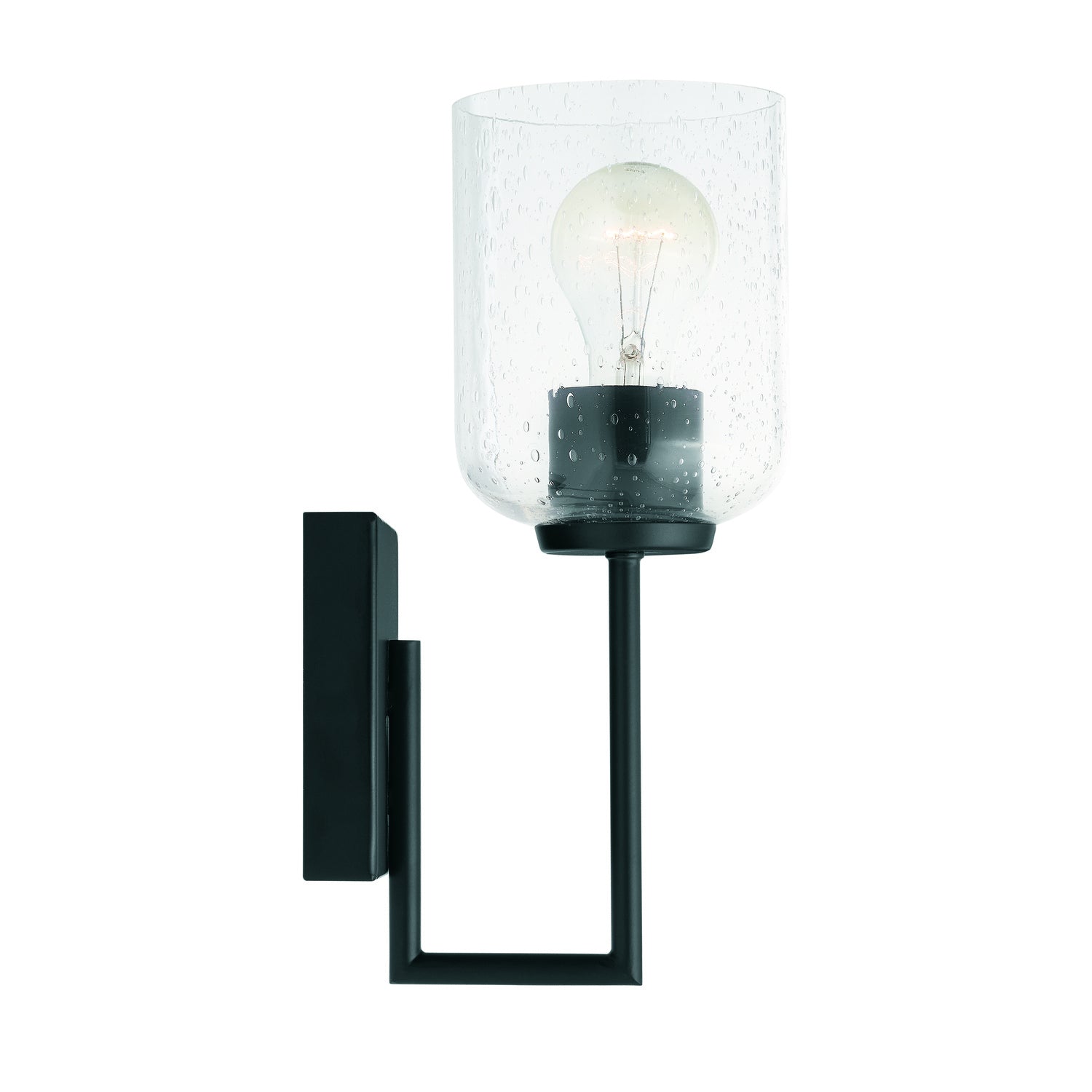 Carter 1-Light Wall Sconce with Clear Seedy Glass Shade