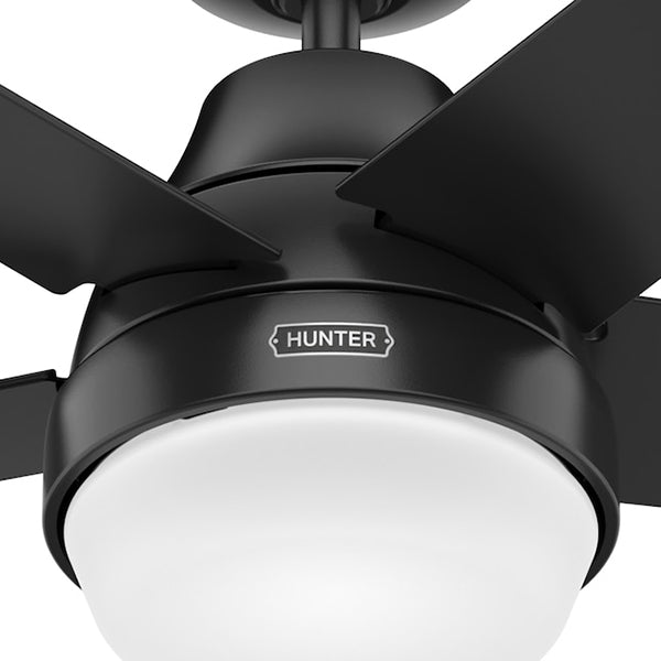 Hunter 51314: 149494_2.jpg