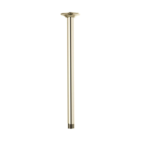 Brizo RP100470PN