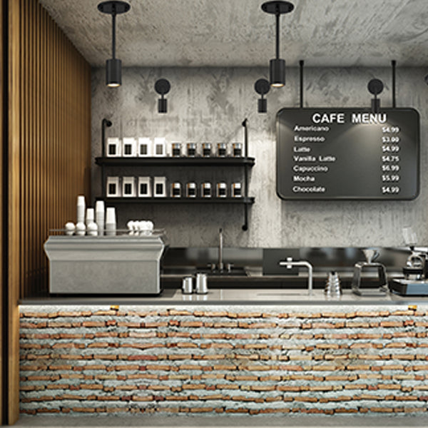 Cafe Dual Mount 2-1/2 in 1-Light LED Wall or Ceiling Spotlight