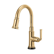 Brizo 64974LF-PG: 69018_1.jpg (Variant Image)