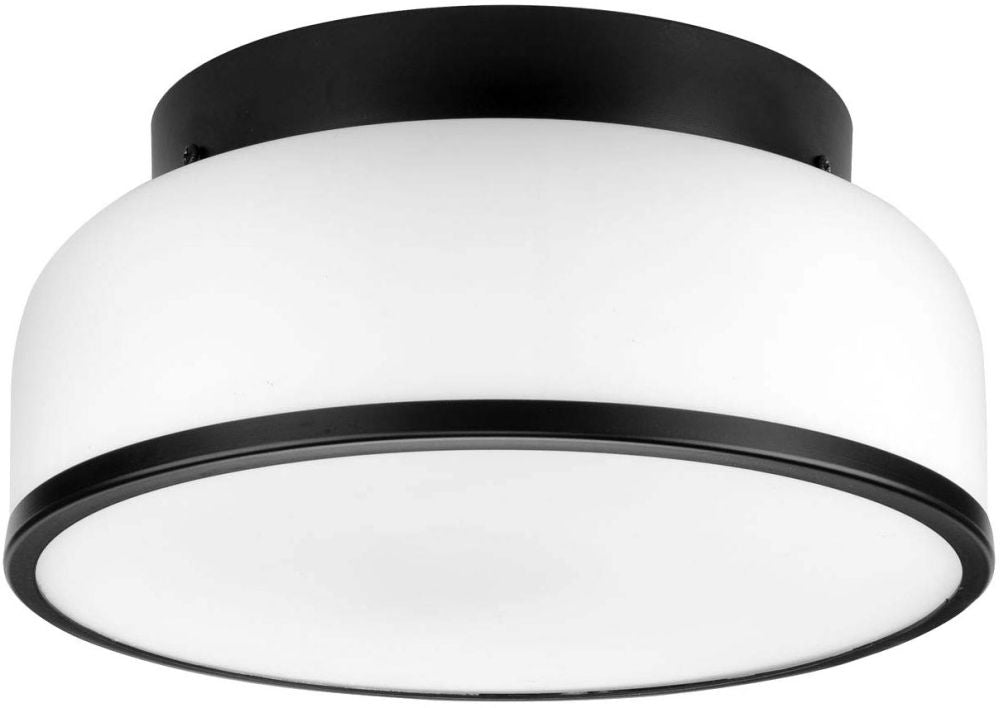 Progress Lighting P350255-31M: Hubbell-ProgressLighting_P35025531M