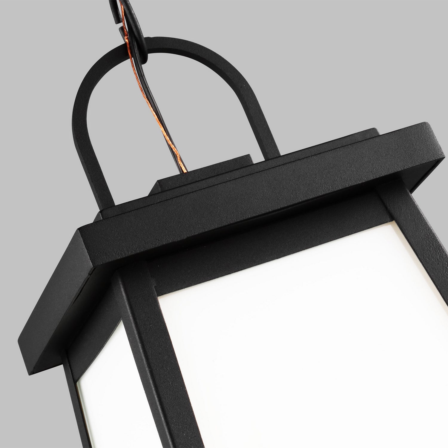 Generation Lighting 6248401EN3-12: 1161066-2.jpg