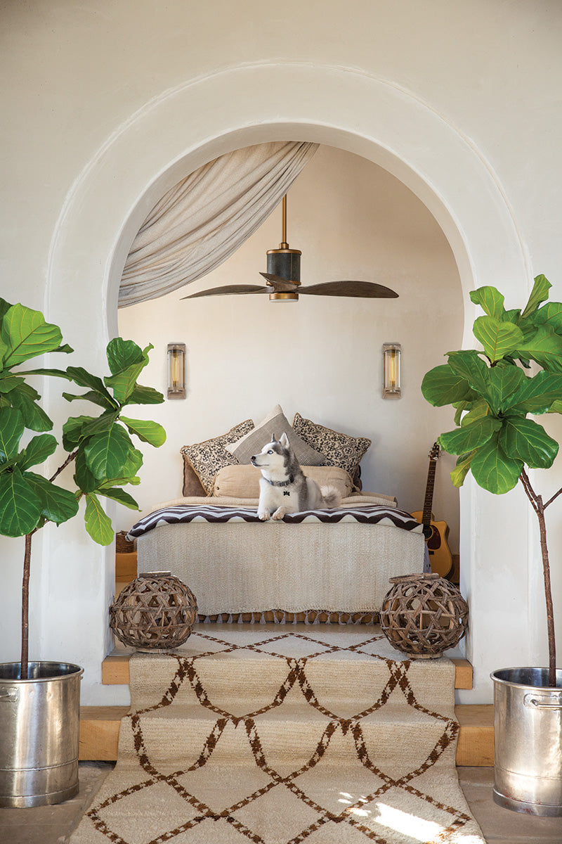 A styled bedroom scene viewed through a white arched doorway, featuring a small dog sitting on a bed with a Hinkley Merrick ceiling fan above. Two tall green potted plants stand on either side, and a patterned rug is visible in the foreground.