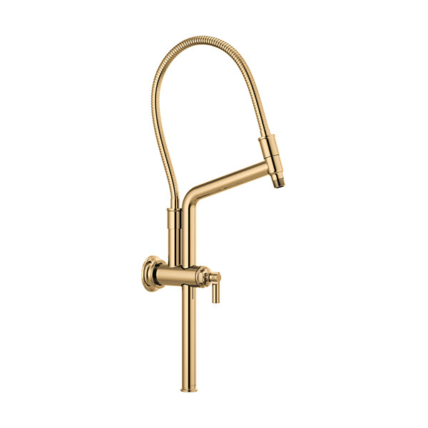 Brizo 81376-PG: 62588_1.jpg (Variant Image)