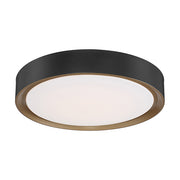 Access Lighting 49971LEDD-MBL/ACR: 101889_1.jpg (Variant Image)