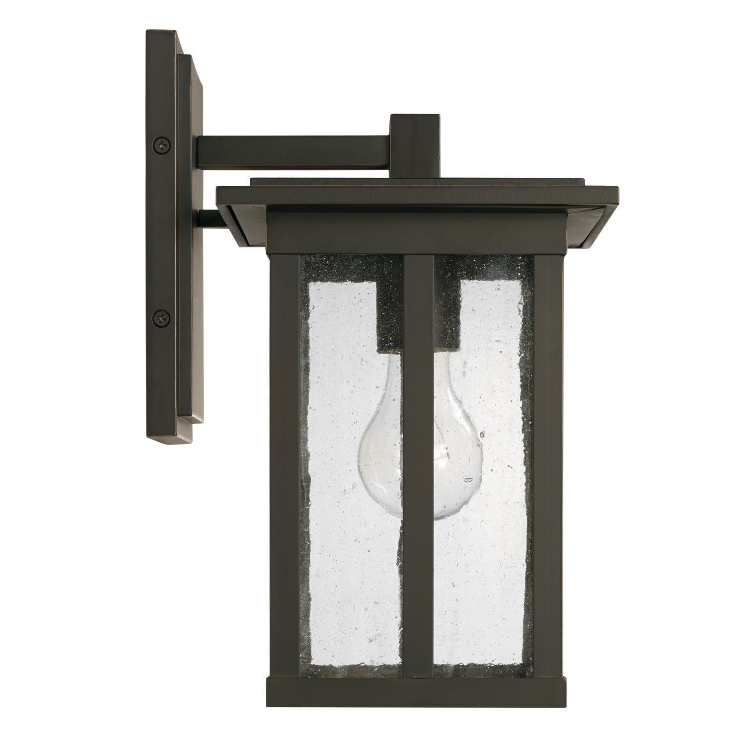 Barrett 1-Light Outdoor Wall Lantern
