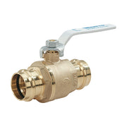 Watts 88005495