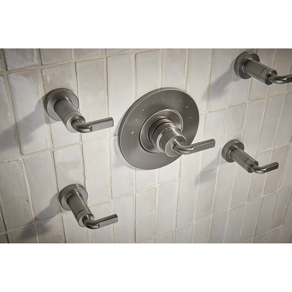 Brizo T66639-SL