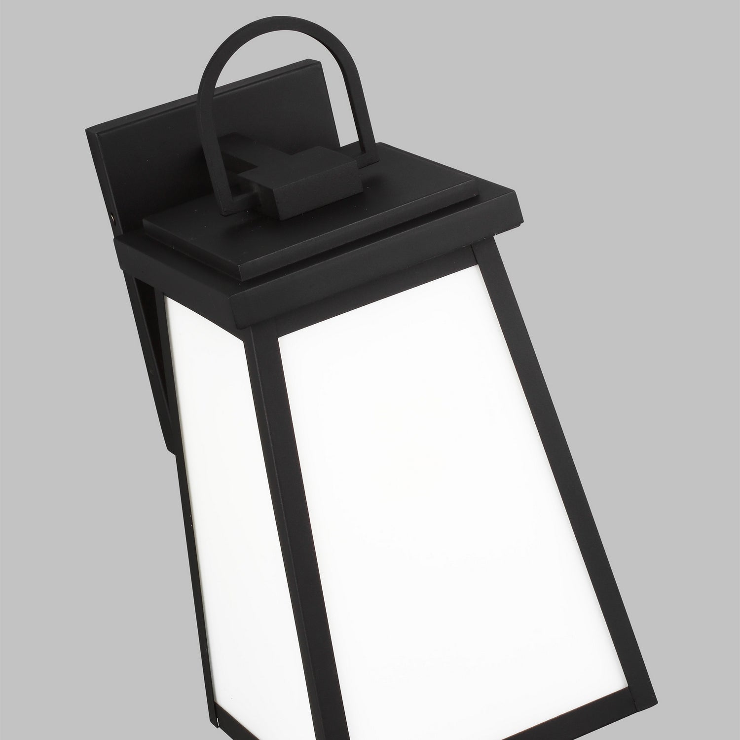 Generation Lighting 8748401-12