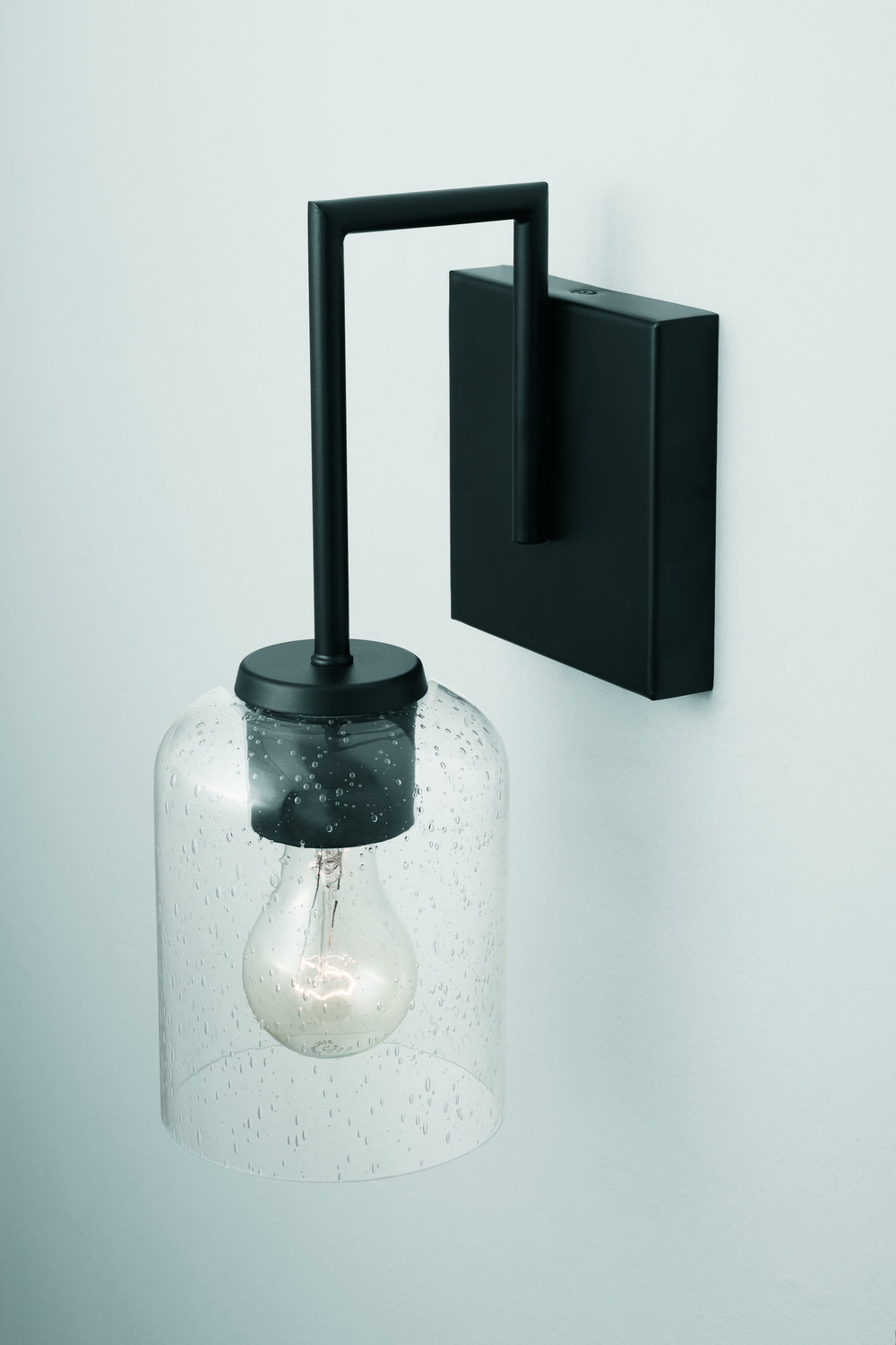 Carter 1-Light Wall Sconce with Clear Seedy Glass Shade