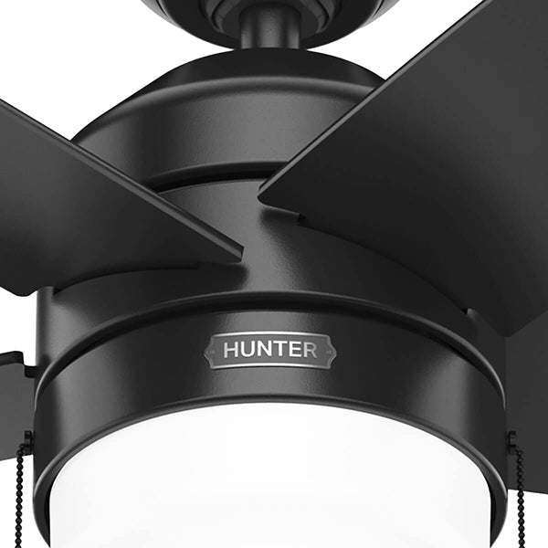Hunter 51884