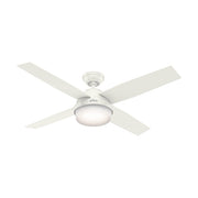 Hunter 59248: 138742_1.jpg (Variant Image)