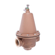 Watts 0298541: 59129_1.jpg (Variant Image)