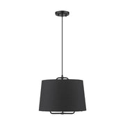 Acclaim Lighting TP30030BK