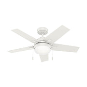 Hunter 50592: 141233_1.jpg (Variant Image)