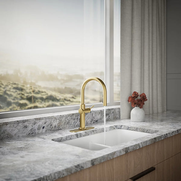 Kohler 22974-BL
