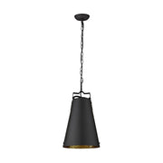 Acclaim Lighting TP10035BK
