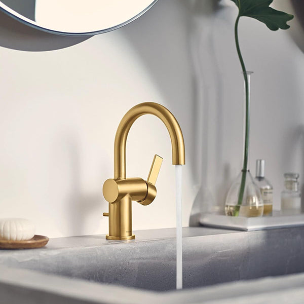 Moen 6221BG: 174422_3.jpg