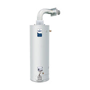 Bradford White RG2DV50S6N-OLY