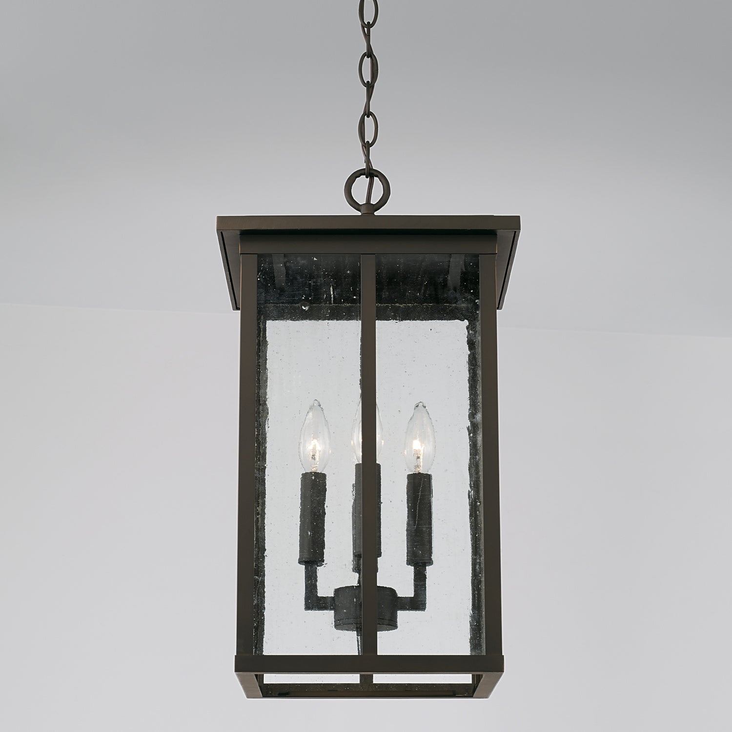 Barrett 4-Light Outdoor Pendant with Clear Textured Glass Shade, Black