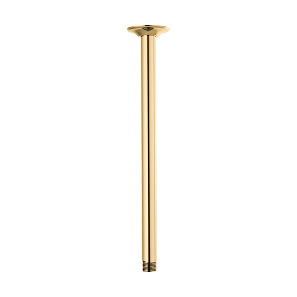 Brizo RP100470PG