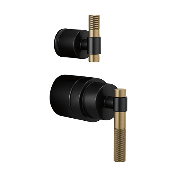 Brizo HL75P33-BLGL: 329255_1.jpg (Variant Image)