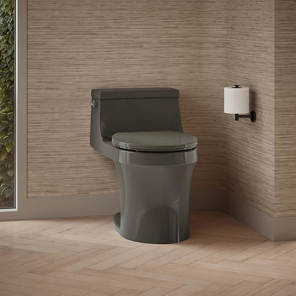 Kohler 77795-0SG