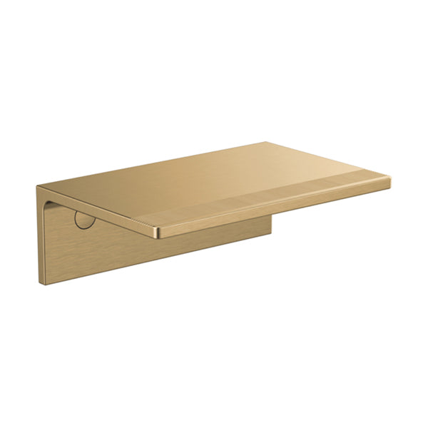 Brizo 695007-NK