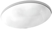 Kohler 14218-HD1-0: Kohler_K14218HD10.jpg