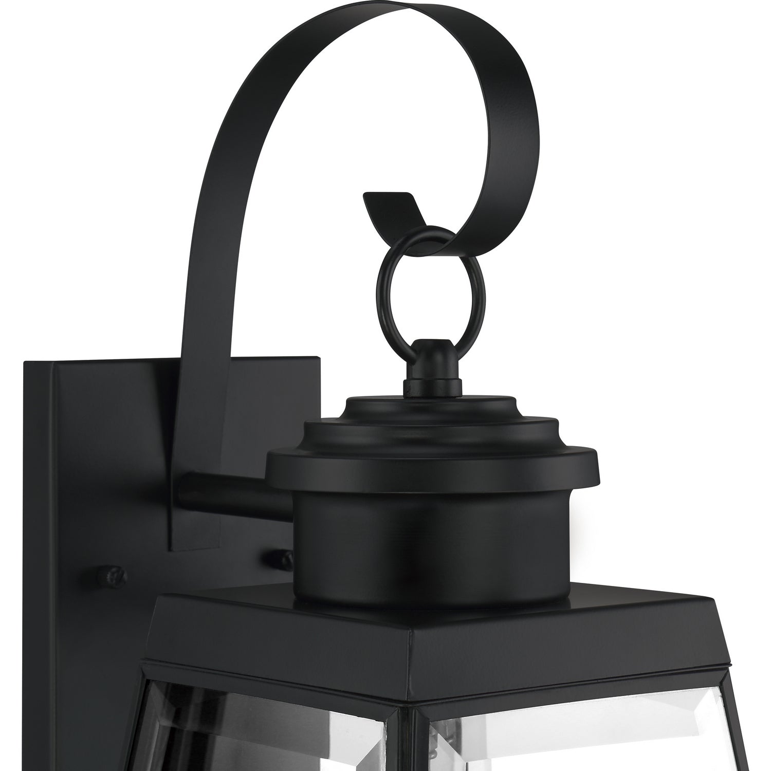 Quoizel PAX8405MBK: lad-4337116-4.jpg