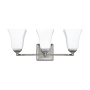 Capital Lighting 8453PN-119