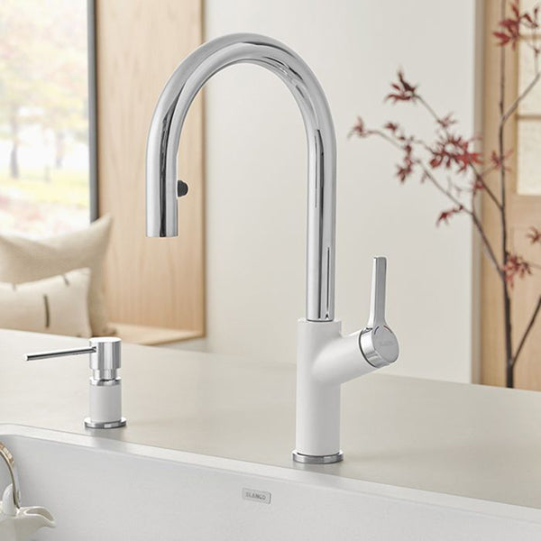Blanco 526391: 227467_3.jpg