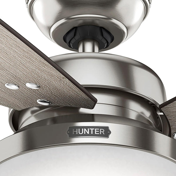 Hunter 59157: 40370_2.jpg