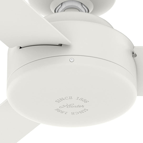 Hunter 50811