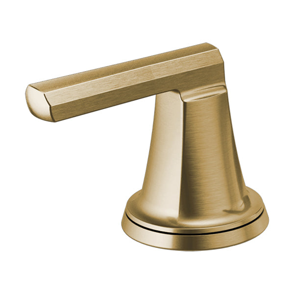 Brizo HL698-GL: 91195_1.jpg (Variant Image)