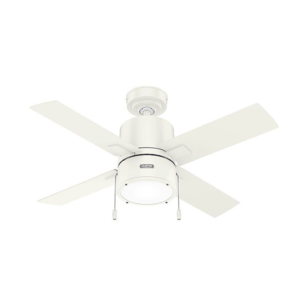 Hunter 51743: 328144_1.jpg (Variant Image)