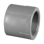 Charlotte Pipe 8101-1/2