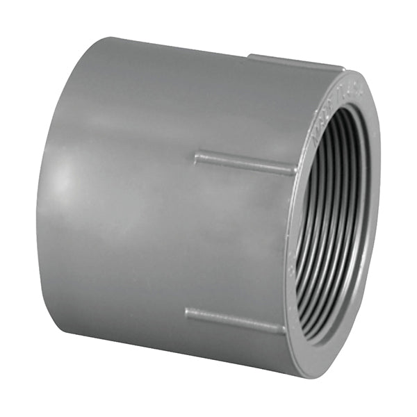 Charlotte Pipe 8101-1/2