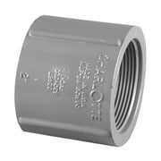 Charlotte Pipe 8102-4IN