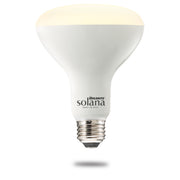 Bulbrite 196110: 983914.jpg