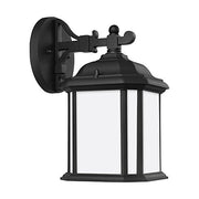 Generation Lighting 84529-12