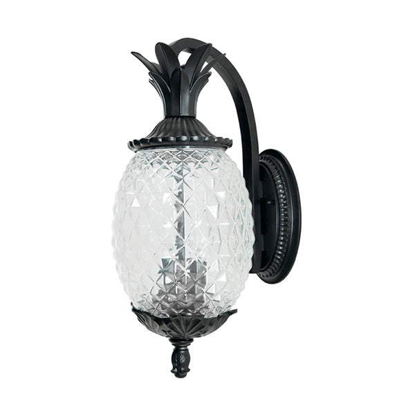Acclaim Lighting 7502BK