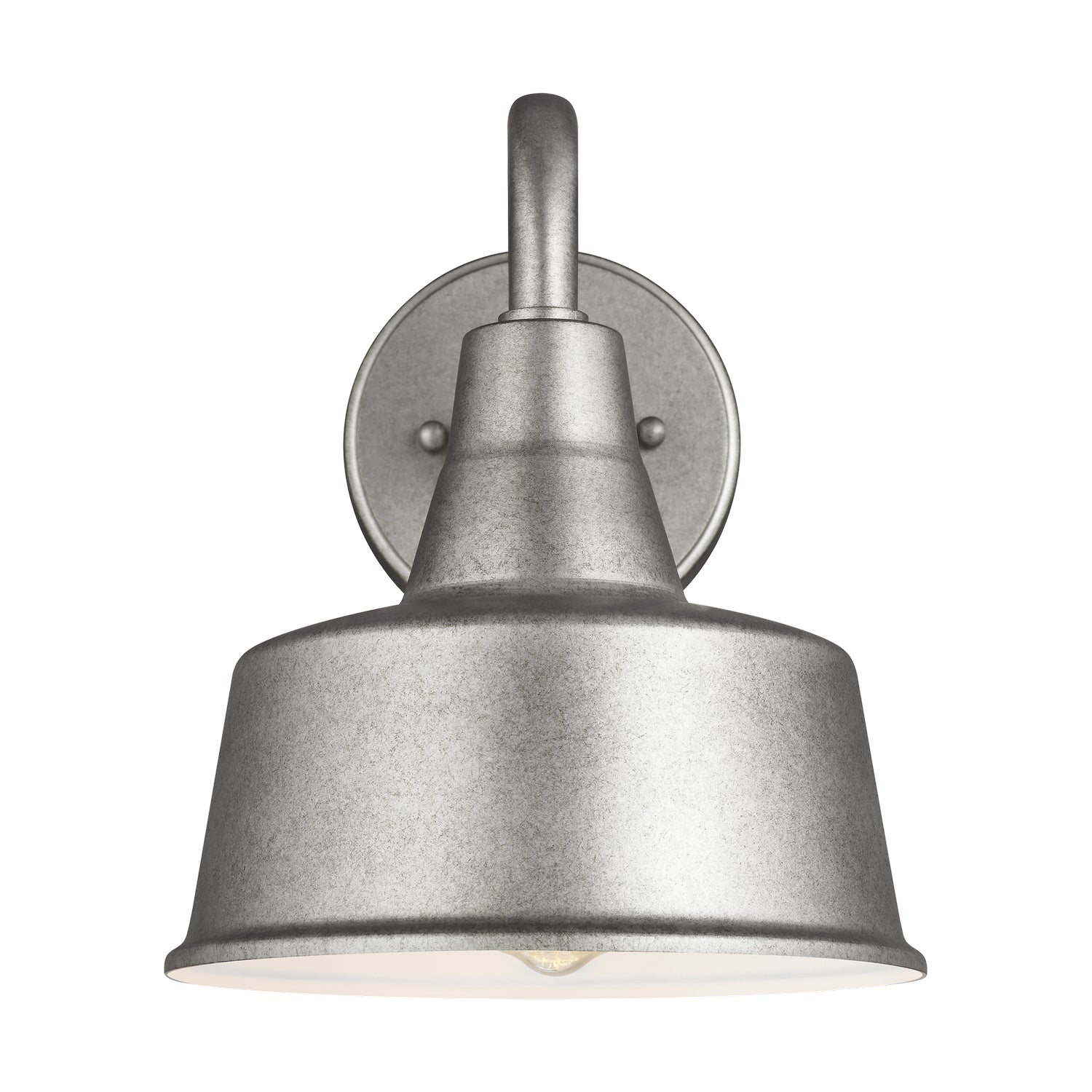 Barn Light 1-Light Outdoor Wall Lantern