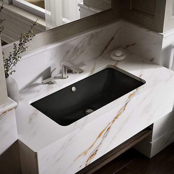 Iron Plains 30 in Rectangular Drop-In/Undermount Bathroom Sink