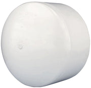 Charlotte Pipe PVC-116-10IN: CharlottePipe&Foundry_PVC11610IN