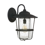 Capital Lighting 9603BK