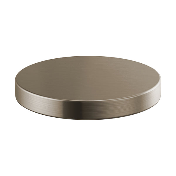 Brizo RP90934SS
