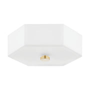 Mitzi H462502-AGB/PN