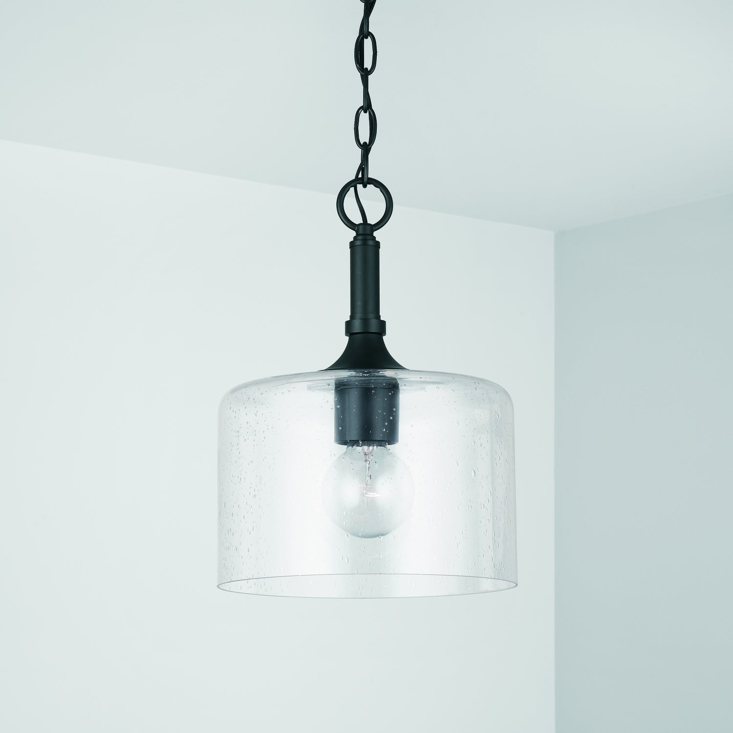 Carter 10 in 1-Light Pendant with Clear Seeded Glass